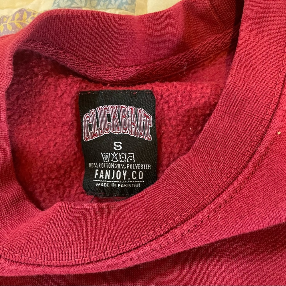Clickbait Cropped Sweater - Picture 3 of 3